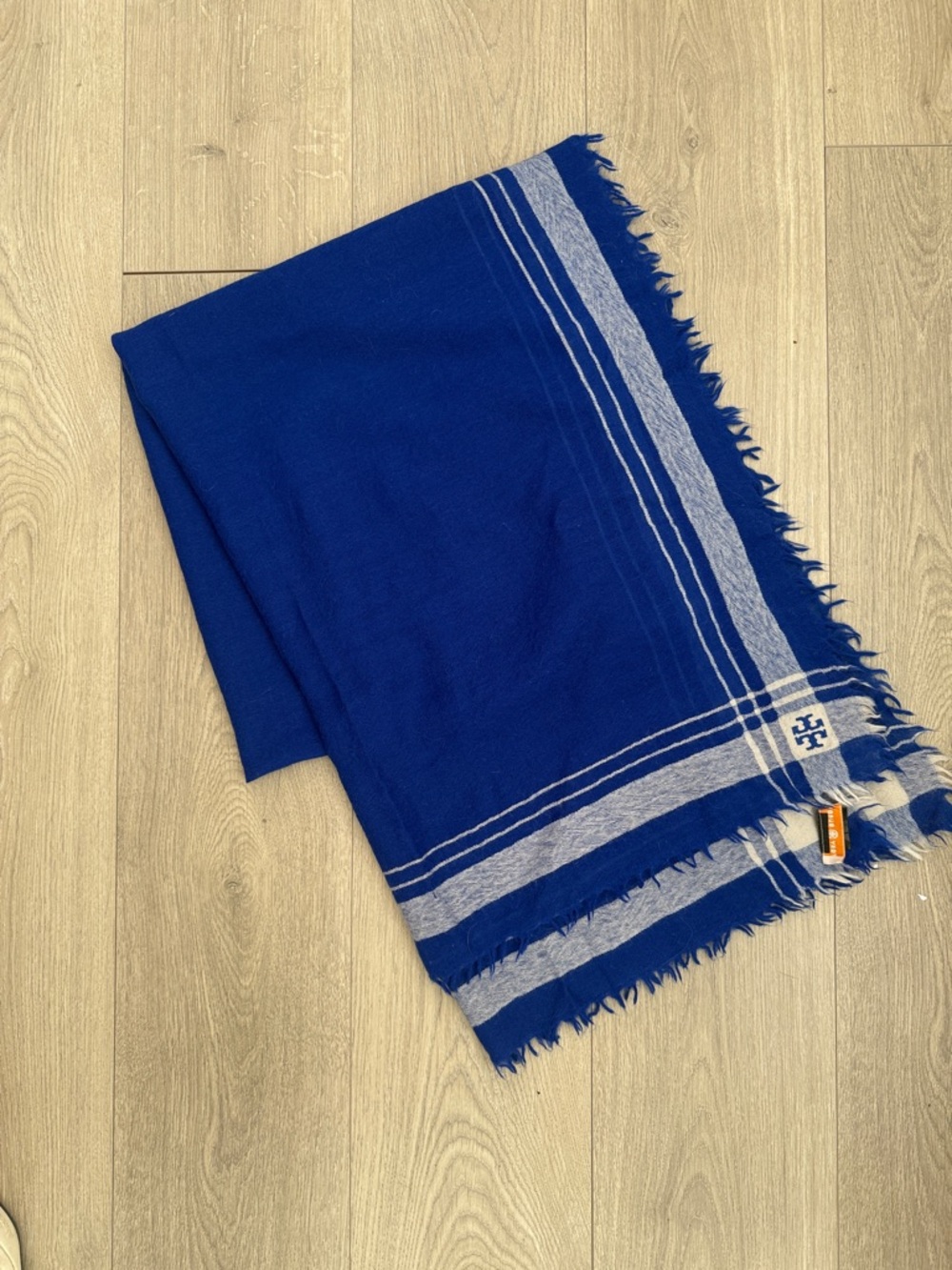 Blue Fringe Stripe Scarf with Logo Accent